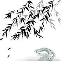 77年属蛇女一生事业运如何 事业有成遇事需冷静