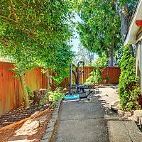 生旺财运的开运植物有哪些适合摆放在家里