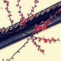 关于日用百货店有创意的店名 新店牌取聚财好名称