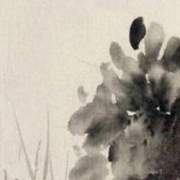 手机号53好不好 最新版本吉祥的手机靓号