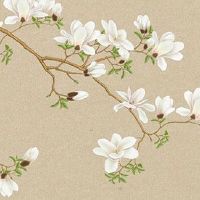 五行穿衣|2022年12月5日教你穿出好运来