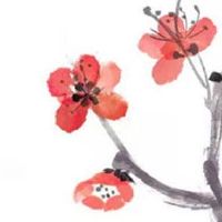 2022年11月属蛇人哪几日提车最吉利 宜买车日期