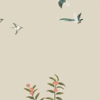 小暑节气的特点和风俗 特色饮食习惯吃伏面