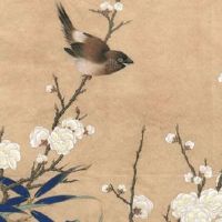 订婚需要什么流程 订婚都需要准备啥