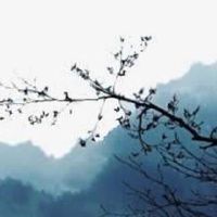 手机尾号7778好吗 招财顺遂的手机尾数