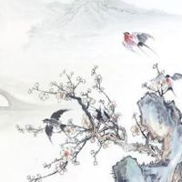 2022年11月7日出生的属虎女宝宝八字五行查询 福禄双收 金运之命