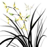 2022年11月10日出生属虎女宝宝生辰八字性格详解 生财有道 发富之命