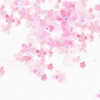 生肖鸡2022年11月最好的动土吉日 哪天适合动土