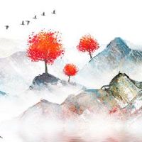 紫微天相在夫妻宫一定不行吗 天机星入庙配偶个性