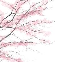 生肖对冲表:2022年12月23日属什么生肖冲什么属相