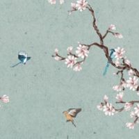 客厅摆什么植物好看又旺财 办公桌绿植推荐