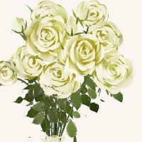 服装网店名叫什么比较吸引人 吉利大气店面取名