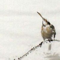 结婚请帖时间一般写几点 结婚典礼吉时是几时几分