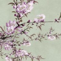 85年牛37岁后十年大运运程 家庭和睦好运常在