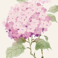 做生意用什么名字比较好一点 招财好听店面名称