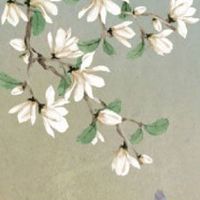 屏风一定要比入户门宽吗 屏风适合放在家中哪里