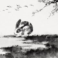 1986年属兔人一生财运 财运稳定无需费心