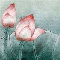 手机号最旺财的数组 最热开运大吉的号组