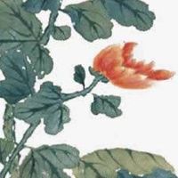 后四位吉利的手机号 最新大吉的手机尾号推荐