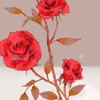 老公属龙可以养狗吗 龙狗为辰戌相冲