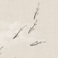 易经数字能量学手机号选择方法 助运平安的号码大全