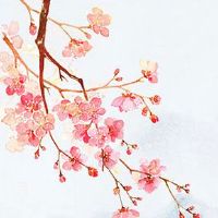 2022年12月4日出生属虎男宝宝命运好吗 温柔敦厚 事业有成