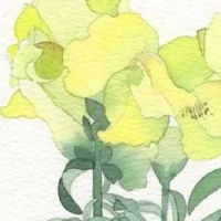 手工活起什么名字好 洋气吉利商铺取名