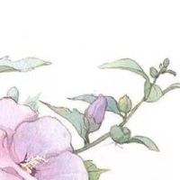 diy手工制作店2022年热门 旺运好听旺铺名