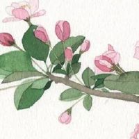 好记又可爱的店铺名 有内涵吉利店面起名