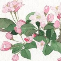 木工小创意工艺品diy 旺店高级寓意好取名