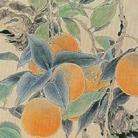 去女方家里第一次应该买什么礼物 带8样礼最全