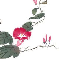 为什么偏财格女命被人嫌弃 饮食不节制身体底子差