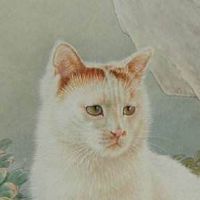 手机尾号99999好不好 全新招财进宝的手机号组