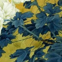 份子钱红包后面怎么写 引经据典的词语吉祥