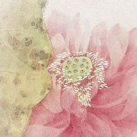 份子钱给父母还是给新人 决定权在新婚夫妇