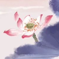 身弱偏财格千万家资一肩扛 财富流水来去快速