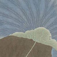 手机号码怎么选择好 好运大吉的手机号码宝典