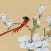 易经手机尾号后四位吉利 时运亨通大吉的手机号码