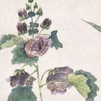 随份子钱一般是晚上还是早上 看婚宴的情况而定