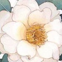 汽车店名字大全 时尚洋气车店面起名