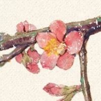 手工艺品店铺取名免费 吉利高端旺铺取名