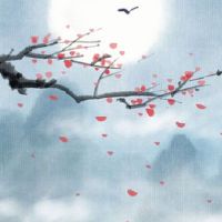 2022年12月24日出生属虎女孩五行缺什么,是什么命