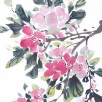 八字看老公家世和能力 身强女命喜用官星