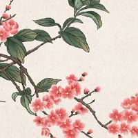 怎么看命格五行属性 五行不同性格大不同