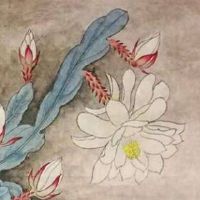 数字能量学号码 超强纳运招财的手机尾号