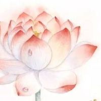 热门车行名字怎么取免费 洋气寓意好店面起名