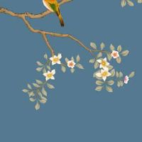 2022年12月18日出生属虎男孩命运好吗 恩家旺子 运势旺盛