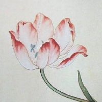 数字能量学1到9 热门转运的号码宝典