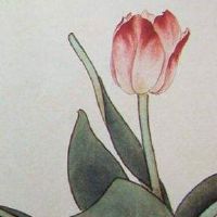 手机号能量磁场 富贵荣达的手机数组推荐