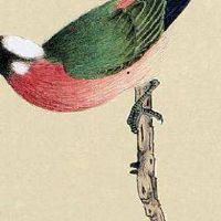 数字能量手机号后四位 数理能量大吉的手机数组